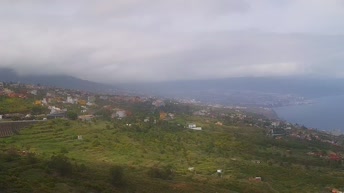 El Sauzal - Tenerife