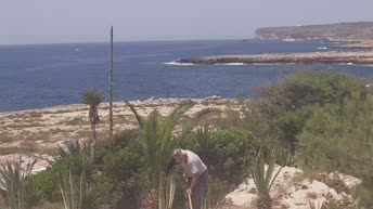 Lampedusa - Capo Ponente