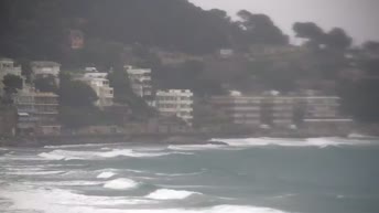 Alassio