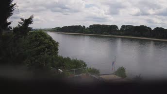 Cologne