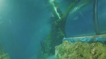 Malta National Aquarium