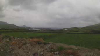 Kerry