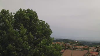 Weather Sersale