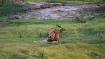 Tembe Elephant Park