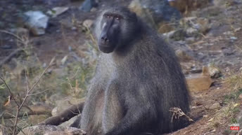 Olifants River