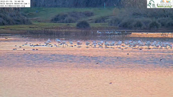Hula Valley National Park - Israel