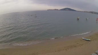 Vindicio - Formia
