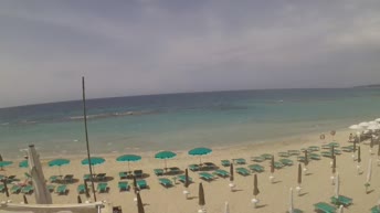Padula Bianca - Gallipoli