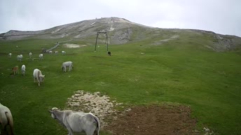 Ski Area Campocatino