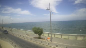 Larnaca - Cyprus