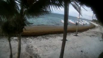 Akumal Bay - Quintana Roo