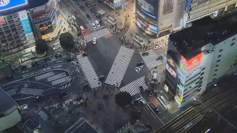 Streets of Shibuya - Tokyo