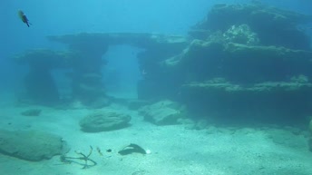 Reef diving, Karavostasi Bay - Bali