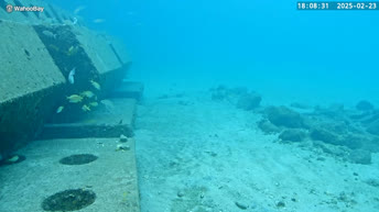 Underwater Cam - Pompano Beach