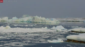 Icebergs of Ilulissat - Greenland
