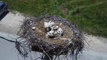 Stork's Nest - Filippiada