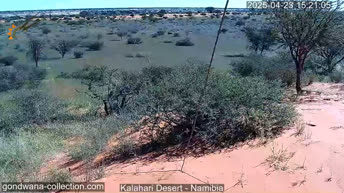 Kalahari Desert - Namibia