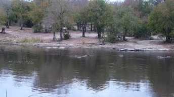 Jaci's Dam