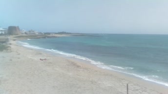 Torre Mozza - Ugento