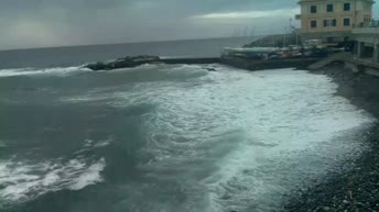 Genoa